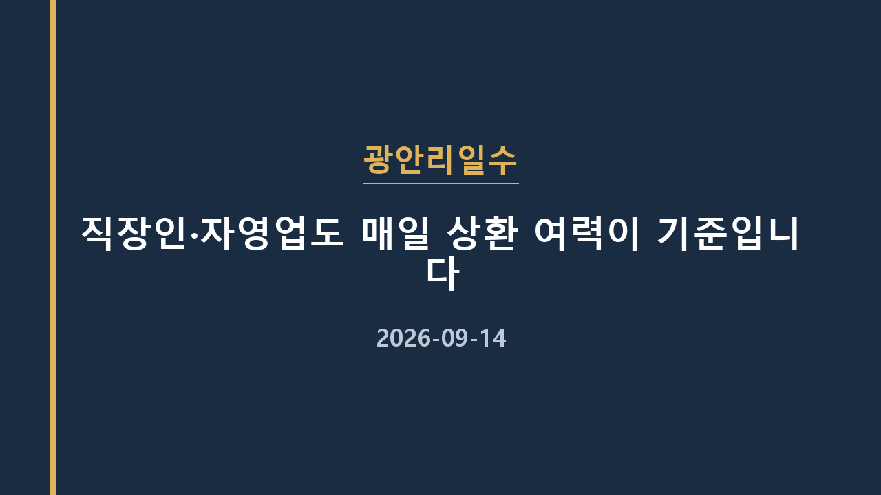 광안리일수 직장인·자영업도 매일 상환 여력이 기준입니다