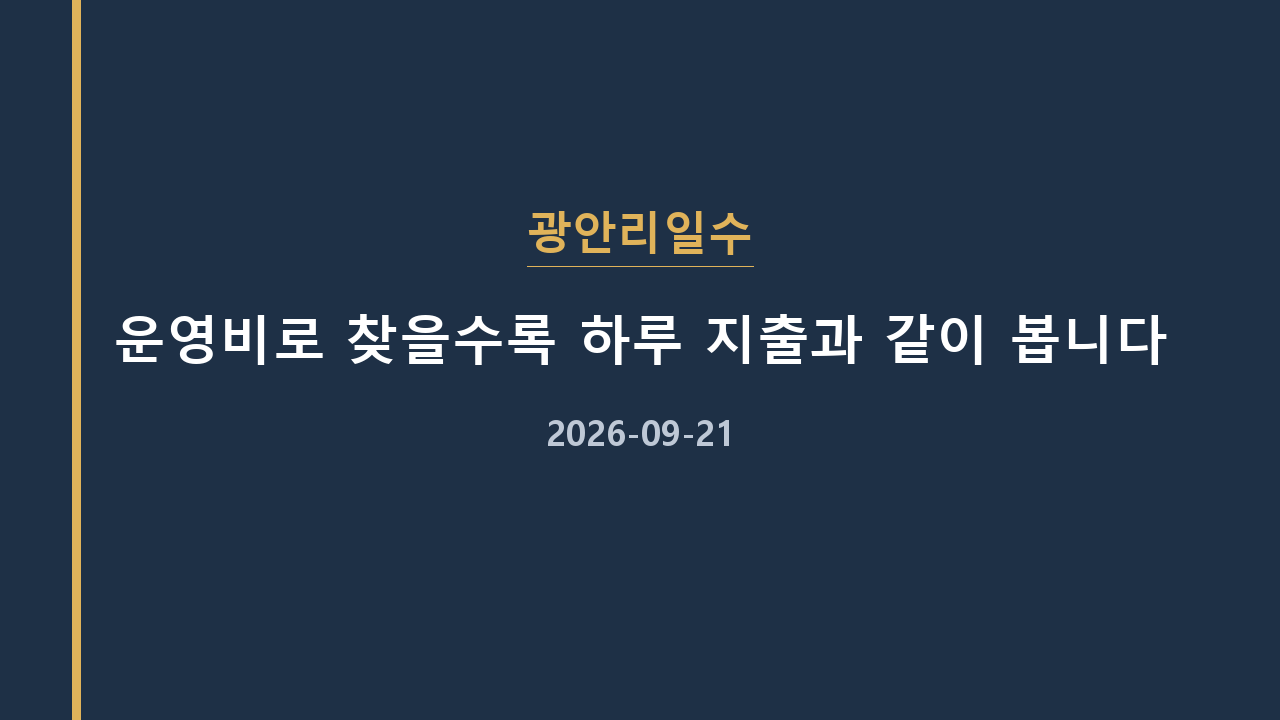 광안리일수 운영비로 찾을수록 하루 지출과 같이 봅니다